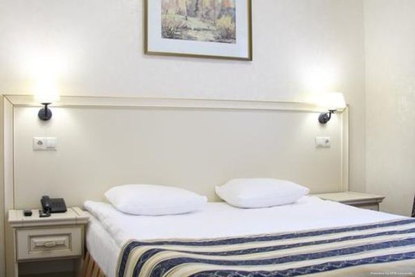 Vladimir Hotel (Wladimir)